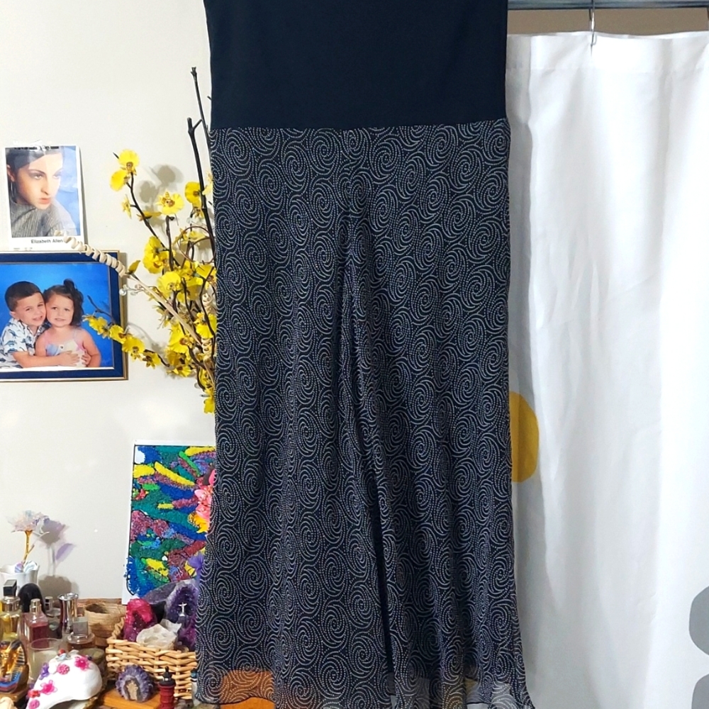 Sunny Leigh silk skirt in great condition